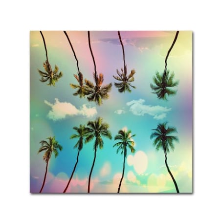 Mark Ashkenazi 'Tropical' Canvas Art,14x14